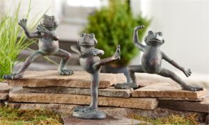 La grenouille et le taichi