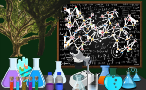 interactions complexes